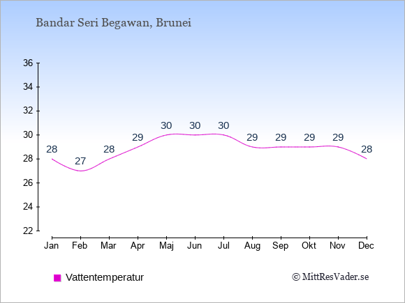 Vattentemperatur i Brunei Badtemperatur: Januari 28. Februari 27. Mars 28. April 29. Maj 30. Juni 30. Juli 30. Augusti 29. September 29. Oktober 29. November 29. December 28.